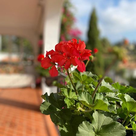 Casa Zawadi Appartement Mijas Buitenkant foto